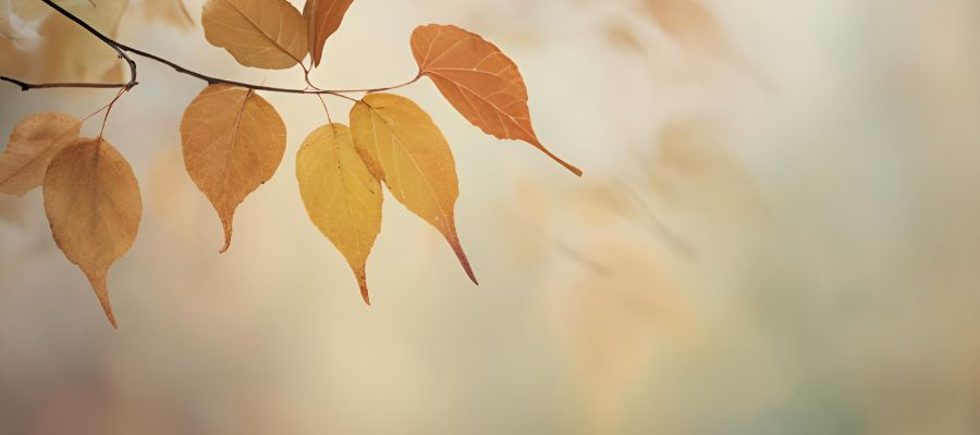 Hinweis: Praxis in den Herbstferien geschlossen