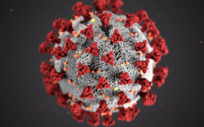 Cororavirus — unser aller Herausforderung